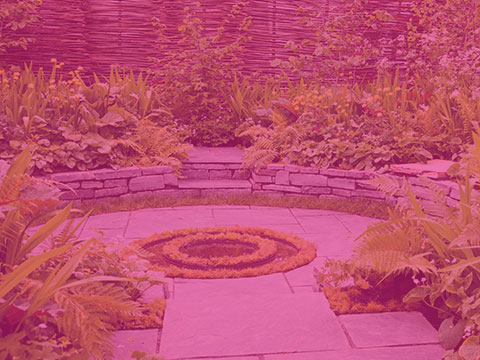 Trophée des paysages de demain